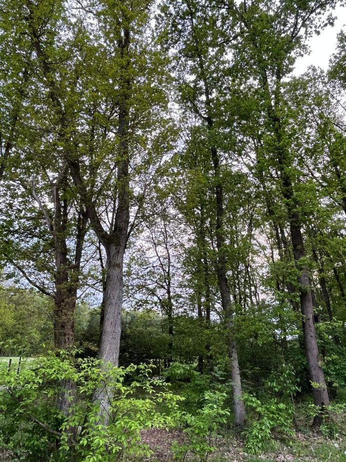 Chalet Liquidambar Zutendaal Kültér fotó