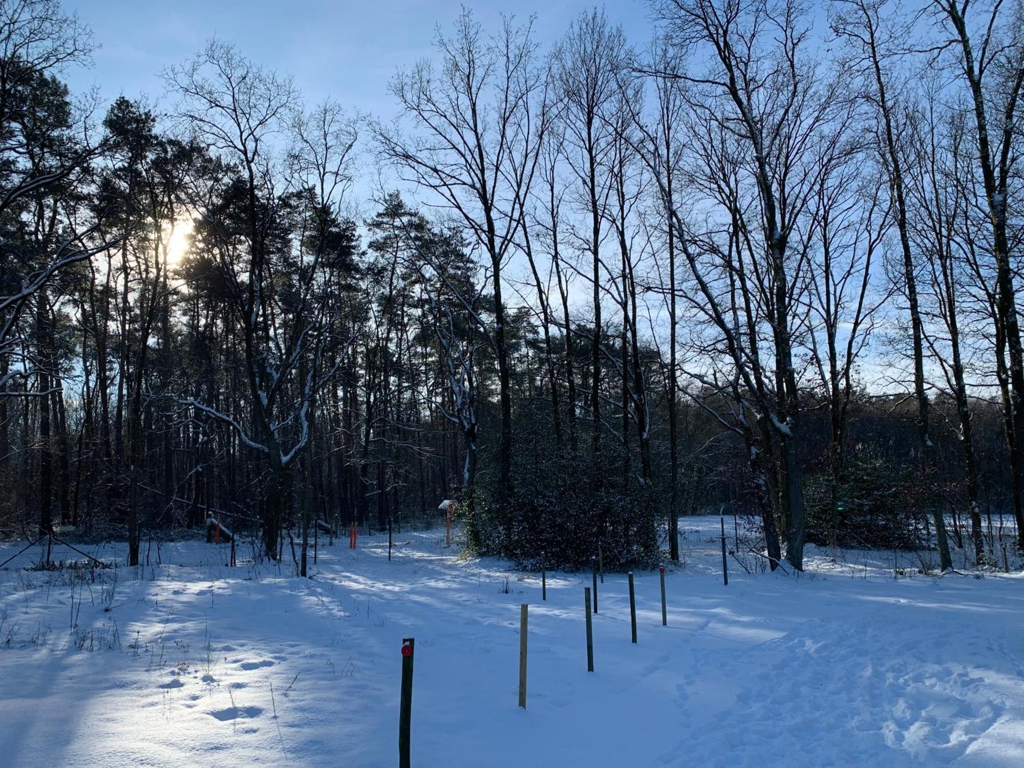 Chalet Liquidambar Zutendaal Kültér fotó